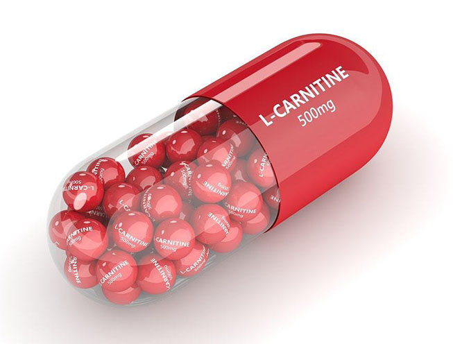 L - carnitine tăng chất lượng tinh trùng